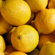 Illustration for article titled Lemon cream tart is an unexpected hero of holiday desserts